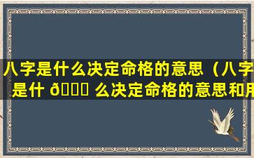 八字是什么决定命格的意思（八字是什 🐒 么决定命格的意思和用法）